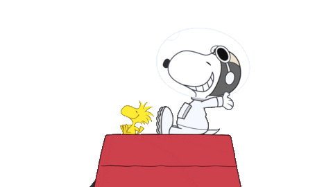 gif of snoopy in space